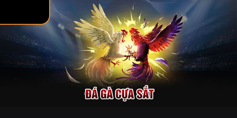 đá gà cựa sắt